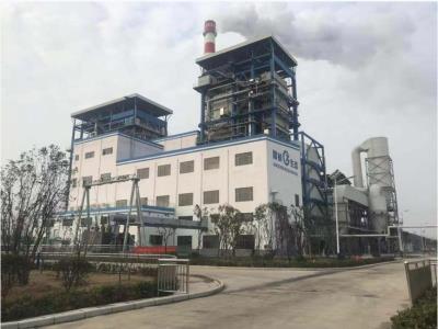 國(guó)楨阜陽(yáng)生物質(zhì)項(xiàng)目